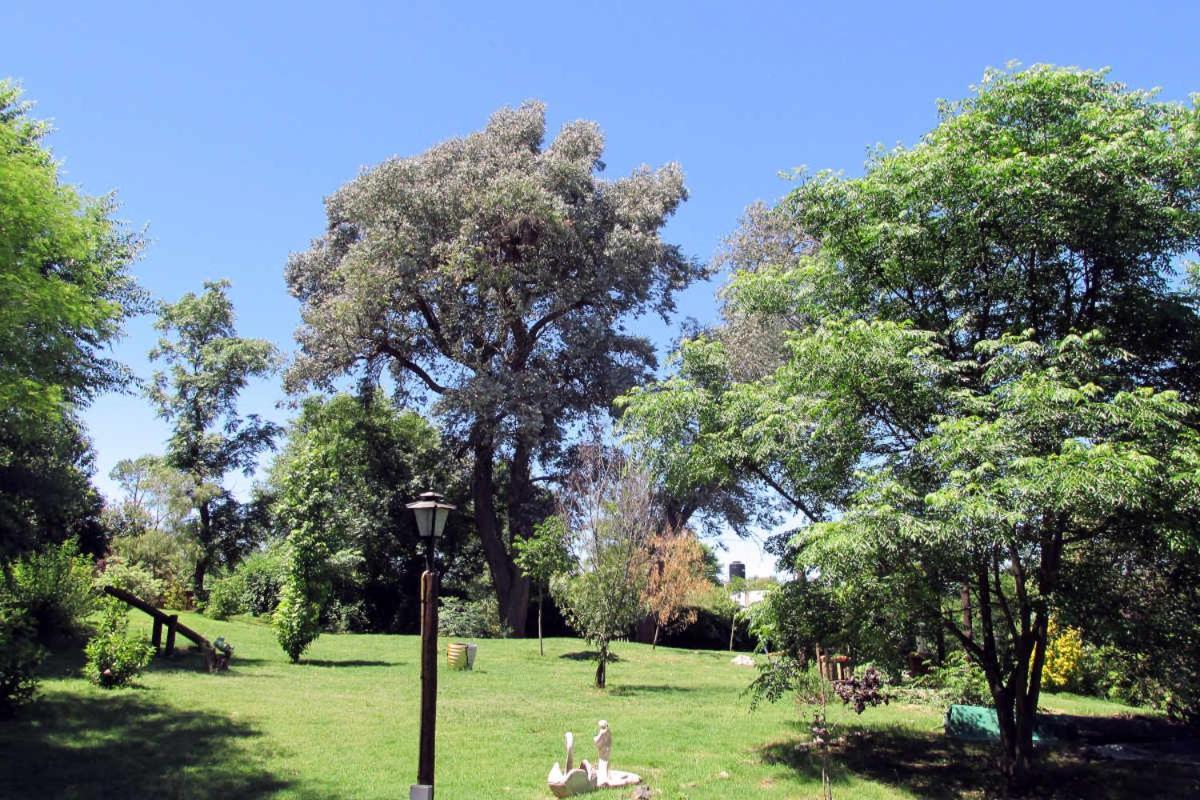 Luna Cautiva Casa De Campo Hotel ซานตา โรซา เด กาลามูชิตา ภายนอก รูปภาพ